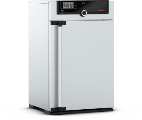 MEMMERT Incubator IF75m, 74 L, 20-80°C