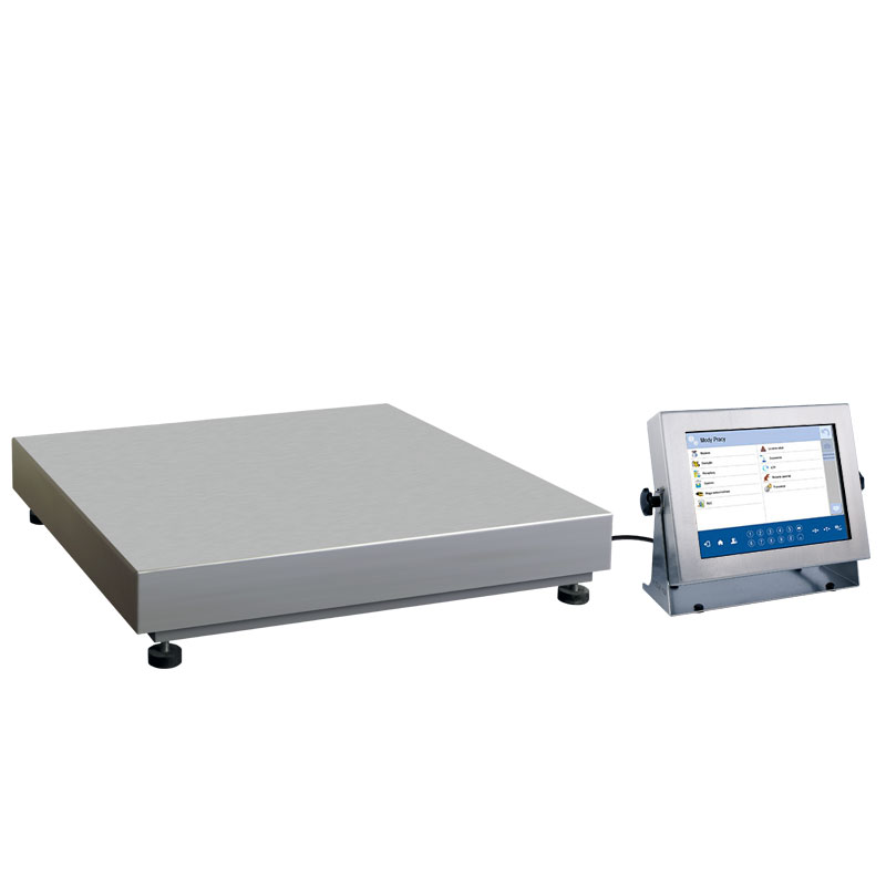 RADWAG HY10.300.1.HRP High Resolution Scale, 300 kg, 100 g, 60 kg